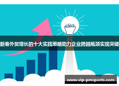 新春外贸增长的十大实践策略助力企业跨越瓶颈实现突破